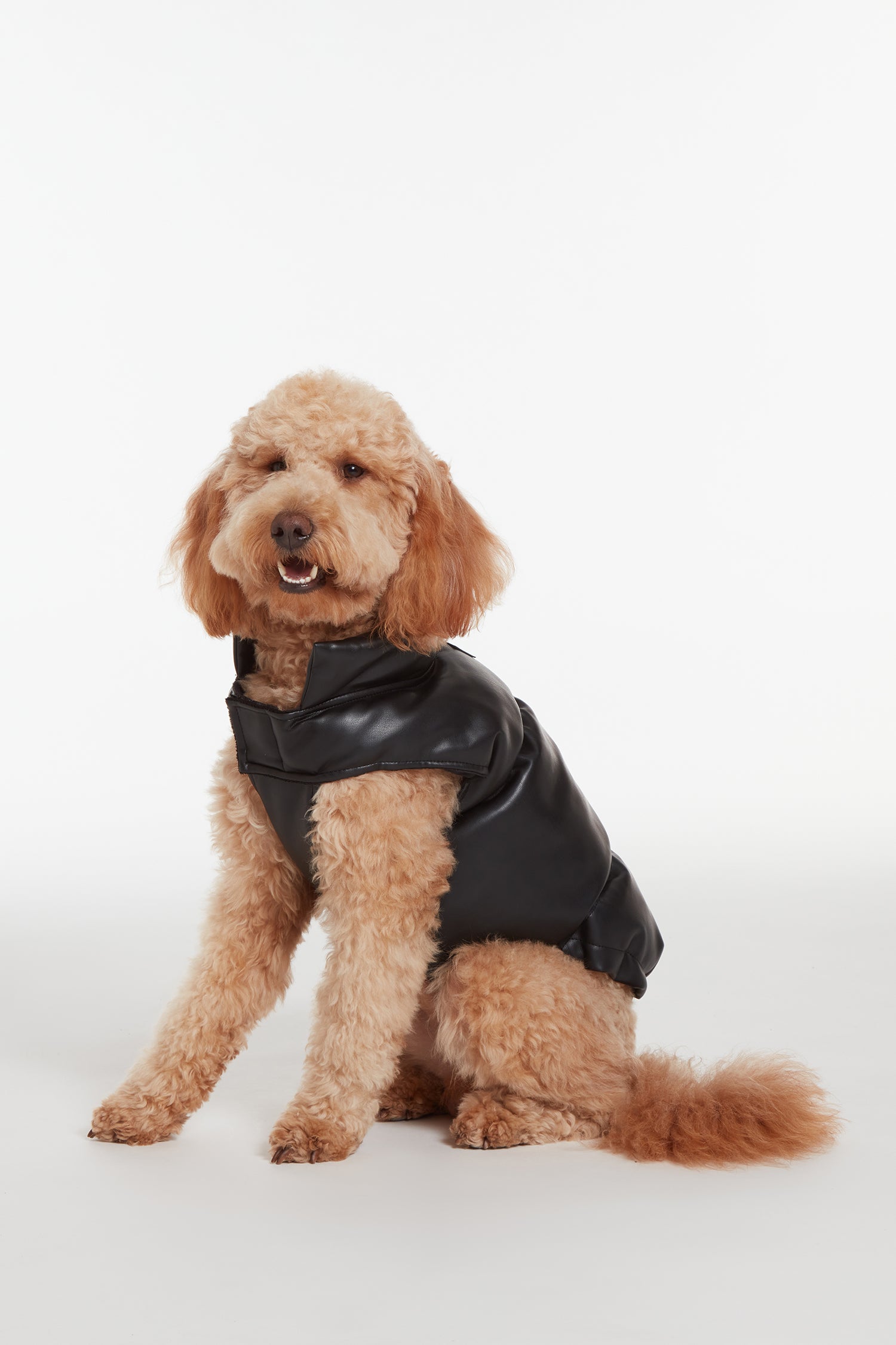 Dog harley sale jacket